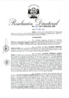 Vista preliminar de documento RD. N° 0133-2017-INPE_OGA-URH.pdf