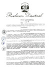 Vista preliminar de documento RD 131-2017.pdf