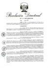 Vista preliminar de documento RD 237-2017.pdf