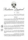 Vista preliminar de documento RD 235-2017.pdf