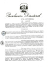 Vista preliminar de documento RD 233-2017.pdf