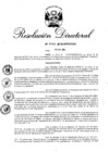 Vista preliminar de documento RD 335-2016.pdf