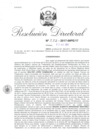 Vista preliminar de documento 080217 RD 222-2017-INPE-17_Chirinos Alvarado Guery Henry y otros.pdf