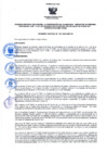Vista preliminar de documento Cuadro de Asignación de Personal (CAP) - 2020