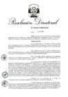Vista preliminar de documento RD 218-2017.pdf