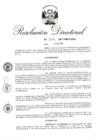 Vista preliminar de documento RD 217-2017.pdf