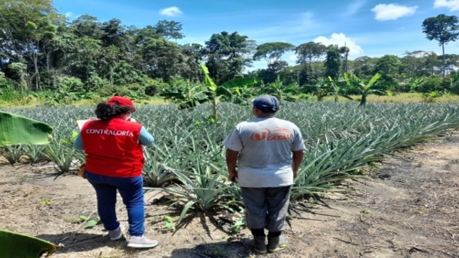 Contraloría advierte entrega de conformidades y pago por bienes no recibidos en GORE Madre de Dios