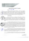 Vista preliminar de documento REA0009-2020