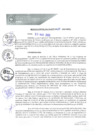 Vista preliminar de documento REA0033-2020
