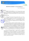 Vista preliminar de documento REA0106-2020