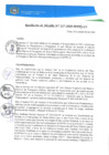 Vista preliminar de documento REA0117-2020