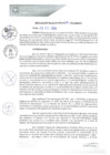 Vista preliminar de documento REA0137-2020