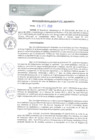 Vista preliminar de documento REA0136-2020