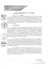 Vista preliminar de documento REA0141-2020