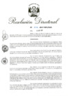 Vista preliminar de documento RD 215-2017.pdf