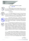 Vista preliminar de documento REA0009-2021