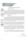 Vista preliminar de documento REA0001-2021