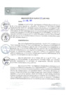 Vista preliminar de documento REA0002-2021
