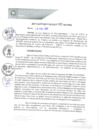 Vista preliminar de documento REA0025-2021