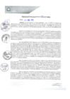 Vista preliminar de documento REA0052-2021