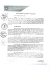 Vista preliminar de documento REA0061-2021