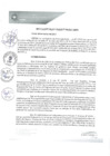 Vista preliminar de documento REA0066-2021