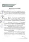 Vista preliminar de documento REA0070-2021