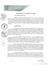 Vista preliminar de documento REA0060-2021