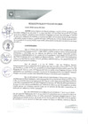 Vista preliminar de documento REA0069-2021