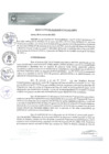 Vista preliminar de documento REA0065-2021