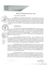 Vista preliminar de documento REA0074-2021