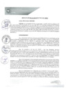 Vista preliminar de documento REA0068-2021