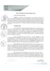 Vista preliminar de documento REA0078-2021