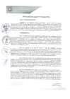 Vista preliminar de documento REA0091-2021