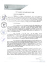 Vista preliminar de documento REA0099-2021