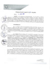 Vista preliminar de documento REA0124-2021