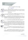 Vista preliminar de documento REA0135-2021