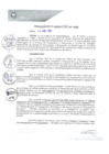 Vista preliminar de documento REA0125-2021