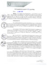 Vista preliminar de documento REA0146-2021