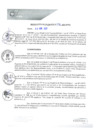 Vista preliminar de documento REA0136-2021