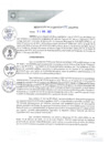 Vista preliminar de documento REA0155-2021