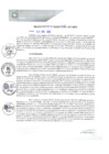Vista preliminar de documento REA0161-2021