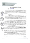 Vista preliminar de documento REA0132-2021
