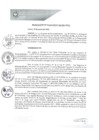 Vista preliminar de documento REA0168-2021