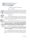 Vista preliminar de documento REA0160-2021