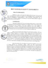 Vista preliminar de documento REA0176-2021