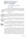 Vista preliminar de documento REA0170-2021