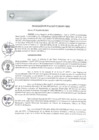 Vista preliminar de documento REA0189-2021