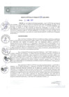 Vista preliminar de documento REA0130-2021