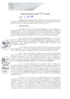 Vista preliminar de documento REA0196-2021